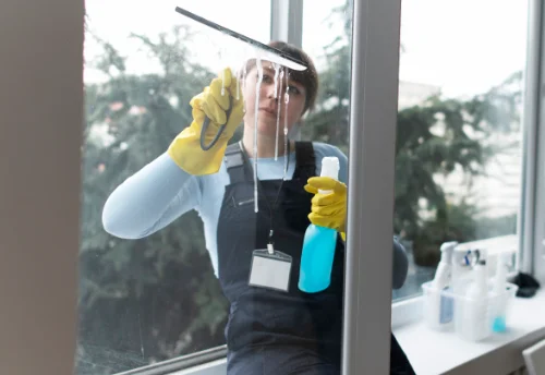 Nettoyage de vitres intérieures et extérieures à Hauville